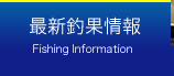 最新釣果情報