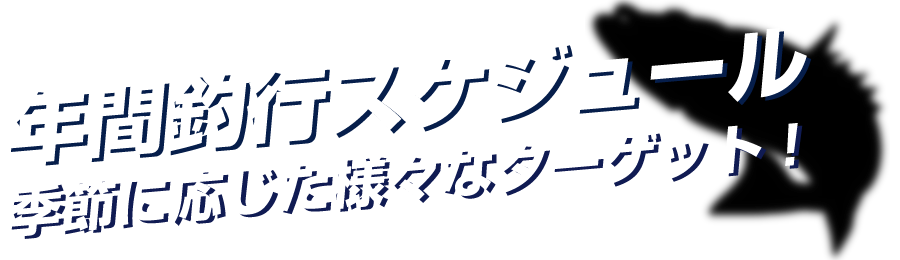 年間釣行スケジュール 季節に応じた様々なターゲット