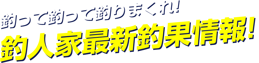 釣って釣って釣りまくれ！釣人家最新釣果情報！